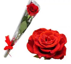 1 rosa decorada. Imagem ilustrativa