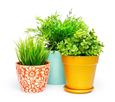 Horta em casa